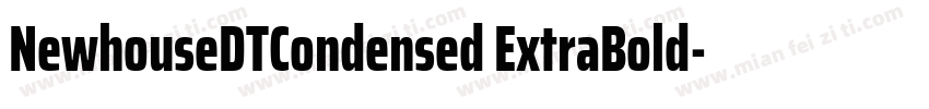 NewhouseDTCondensed ExtraBold字体转换
